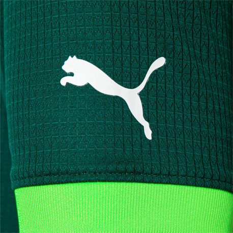 PALMEIRAS TORCEDOR HOME JSY 23 773433 01-GREEN GLIMMER P