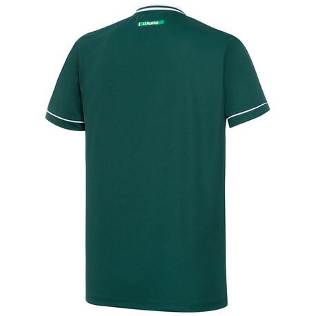 CAM PALMEIRAS HOME II MASCULINA 9924063 VERDE G